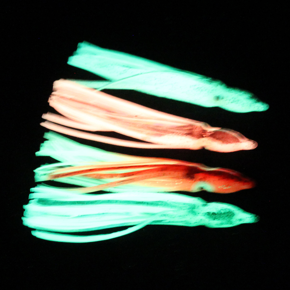 10 pcs soft light octopus squi - Fishing Lure Buzzbait recension och pris